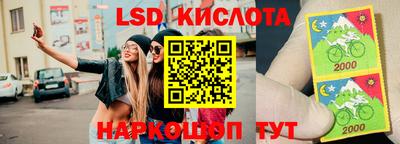 шишки Кимры