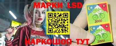 шишки Кимры
