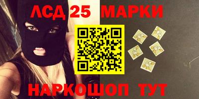 шишки Кимры