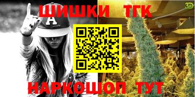 ешки Кингисепп