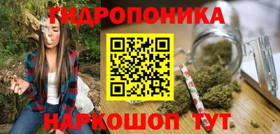ешки Кингисепп