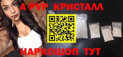 ешки Кингисепп