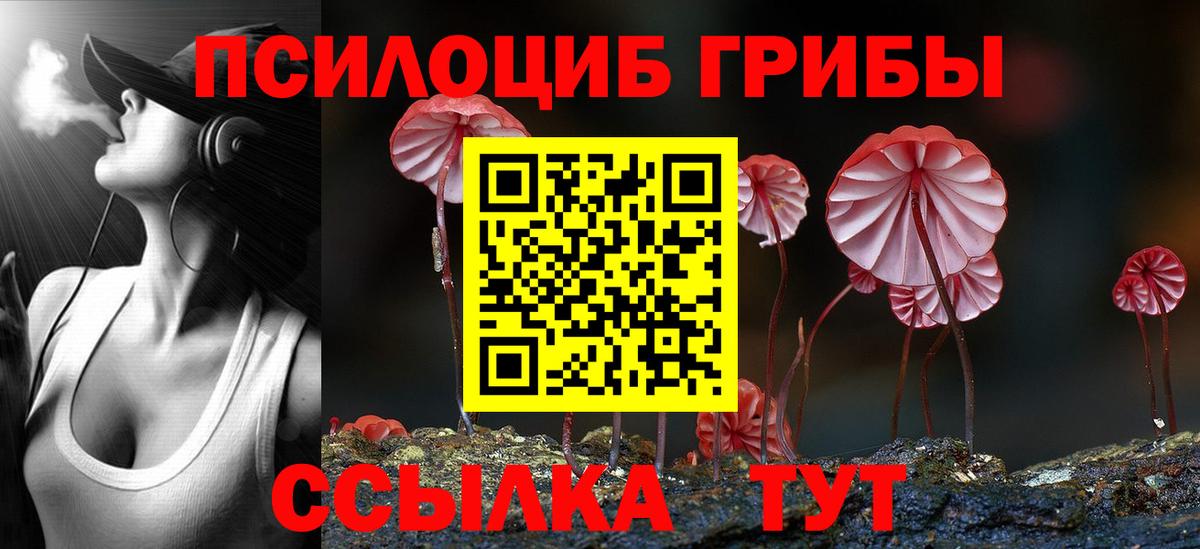 Краснокаменск  Галлюциногенные грибы мицелий  Псилоцибиновые грибы мицелий  Вход с VPN 